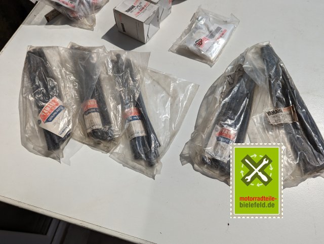 PXL_20240523_094856702